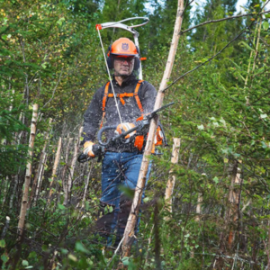 Skog&Trädgård