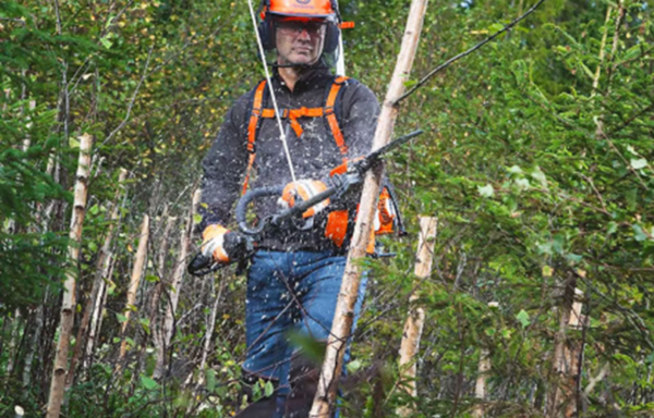 Skog&Trädgård